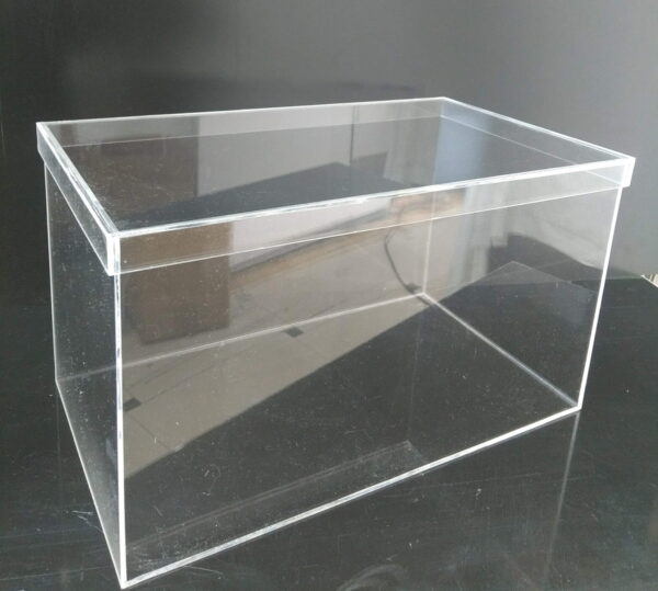 sapato de acrilico grande